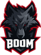 BOOM Esports (Wild Rift)