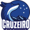 Cruzeiro Esports (Wild Rift)