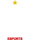 Flamengo Esports (Wild Rift)