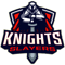 Knights Slayers (Wild Rift)