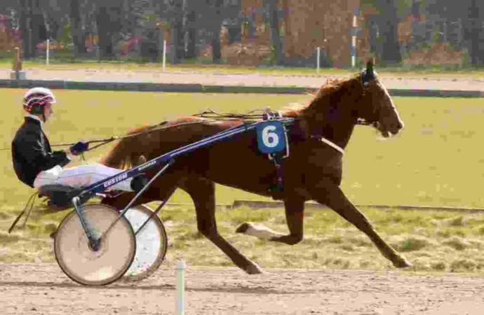 koronavirüs salgını ve spor bahisleri