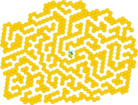 Online Games To Try At Home. Photo 1