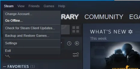Systemet VAC kunne ikke bekræfte din spilsession - løsning på problemet med at starte spil i Steam. Photo 7