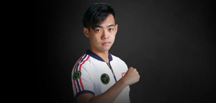 Road to Bucharest — PSG.LGD . Photo 2