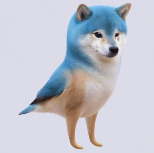 Почему Dogecoin вырос на 35% и что его ждёт в будущем?. Фото 13