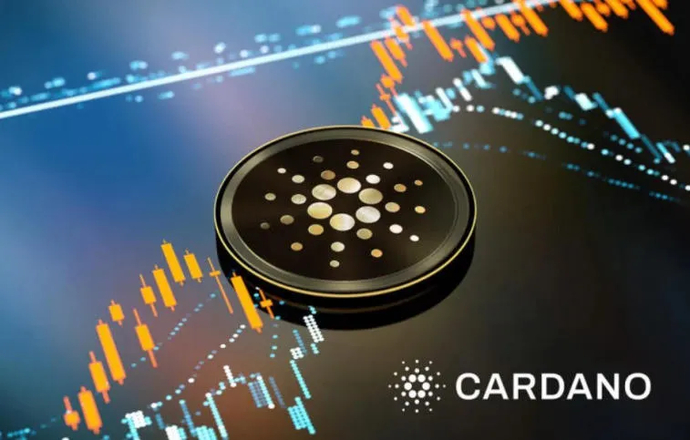 Why has Dogecoin grown 35% what awaits it in the future?. Photo 11