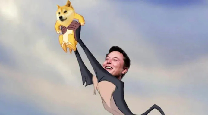 Why has Dogecoin grown 35% what awaits it in the future?. Photo 14