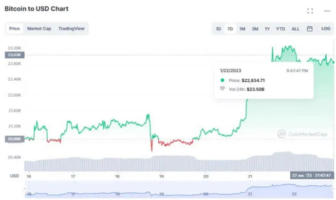 What does the near future hold for Bitcoin?. Photo 2