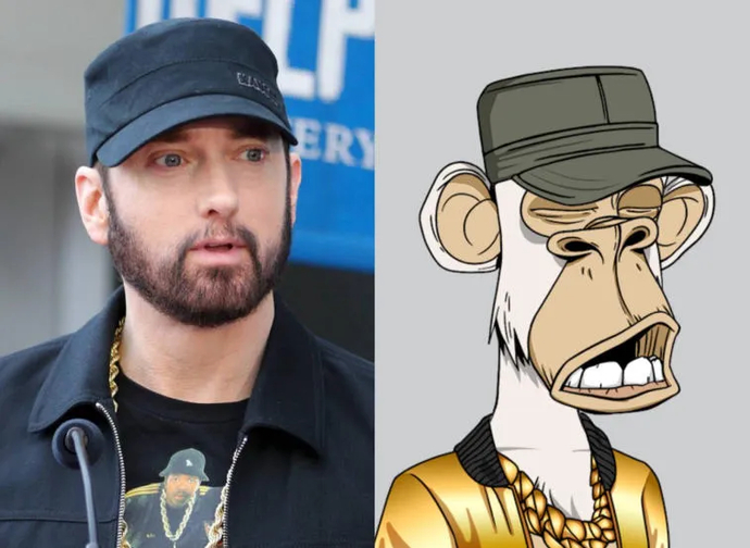 Problemas Bored Ape Yacht Club. Photo 1