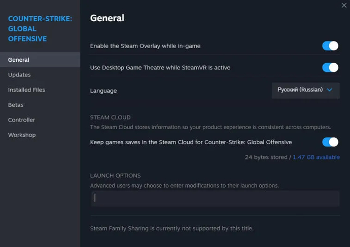 Key CSGO launch options for a comfortable game in 2023. Photo 2