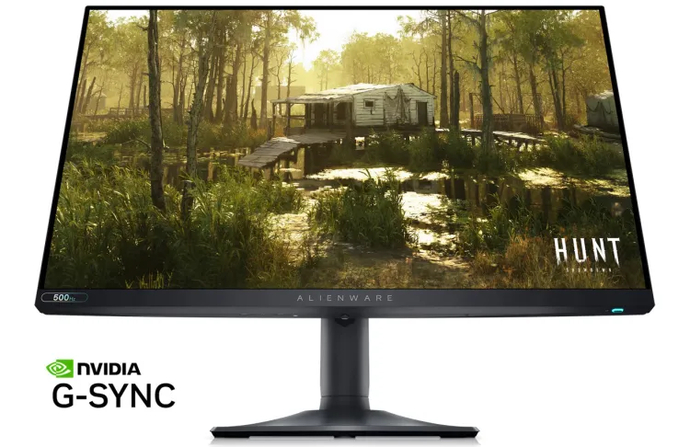 Guide: How to Choose Gaming Monitors in or When Pixels Are Metter 2