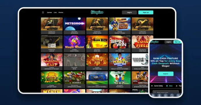 Best Bitcoin Casinos And Crypto Casino Sites in 2024 7