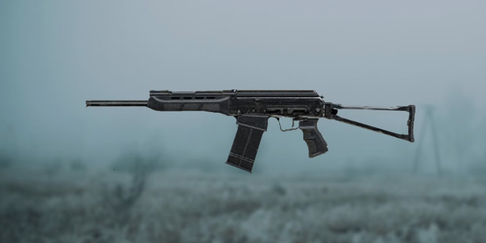 Saiga D-12 STALKER 2