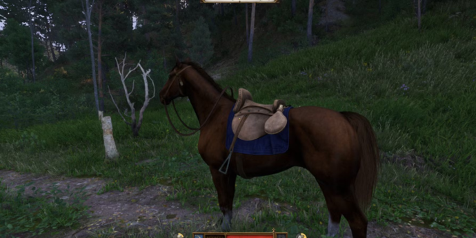 KCD2: Where to Find a Horse in Kingdom Come: Deliverance II? 2