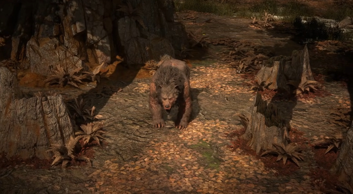  New PoE 2 Character Druid: Forms, Skills and Ascendancies 1