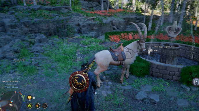 Как разблокировать всех ездовых животных, добавленных в патче 1.01.00 для Crimson Desert 4
