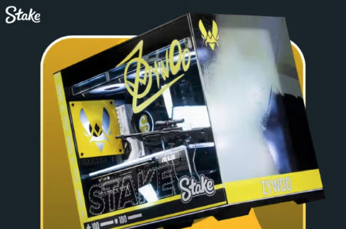 Stake x Vitality Drops a PC Giveaway in the Middle of a Hot Run 1