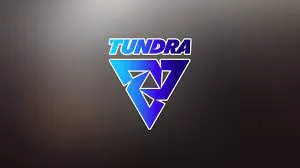 Tundra Esports ist das 6. Team, das sich für The International 2022 qualifiziert hat. Foto 1