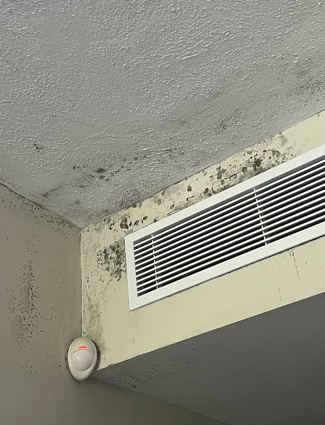 S1 mple beschwerte sich über das Hotelzimmer — ESL löste den Konflikt. Photo 1