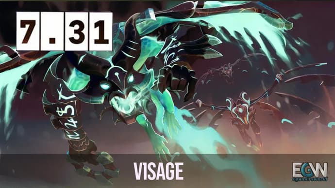 Visage 7.31 Kılavuzu Visage 7.31 Kılavuzu