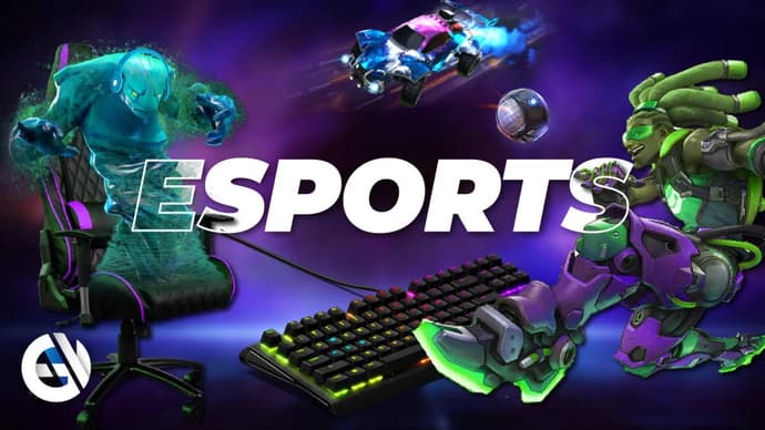 How eSports tournaments are organised: an inside look How eSports tournaments are organised: an inside look