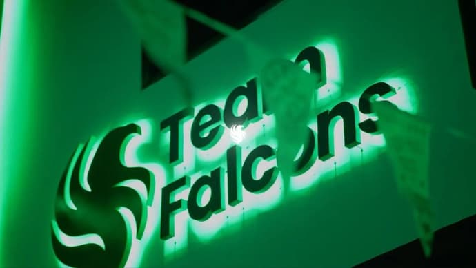 Team Falcons: will the Saudis succeed in creating an unrivalled superclub?