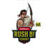 BetBoom RUSH B Summit Season 2