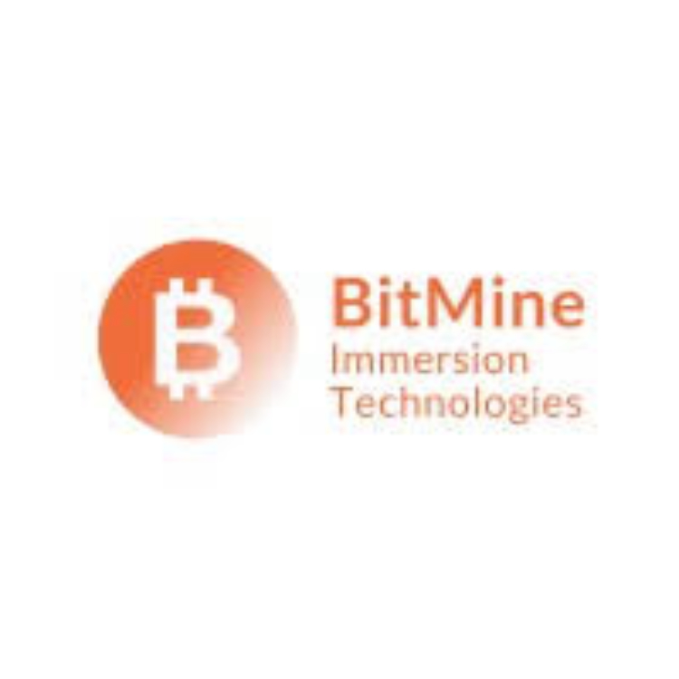 BitMine Immersion Technologies (BMNR) Launches MAVAN 1