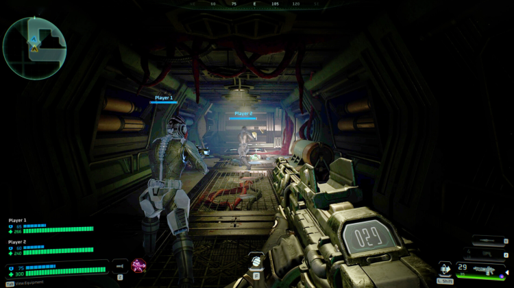 Deadzone: Rogue Review 3